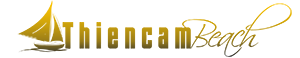 Logo Website